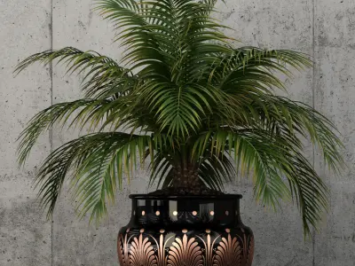 Plants collection 59 3D model