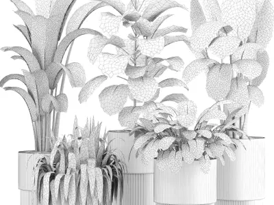 indoor plant set021 3D model