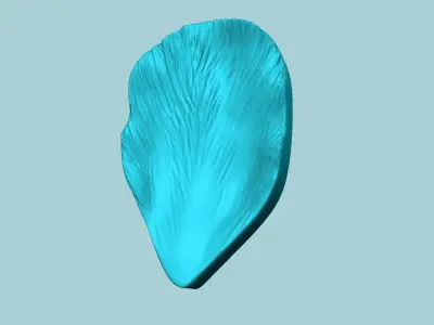 Tulip Flower Petal 03 - Moulding Artificial Craft 3D print model