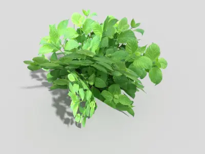 Low poly Plant Low-poly 3D model