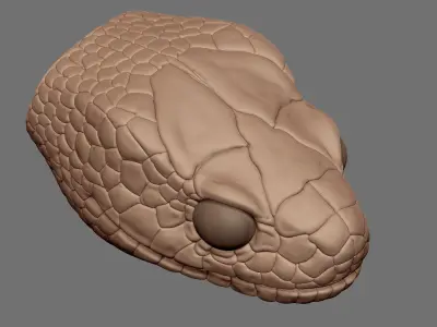 highly detailed Snake head 3D model