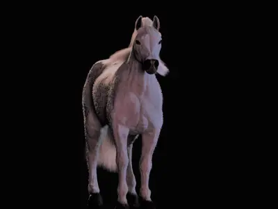 Horse with Mane Game Ready animal model Low-poly 3D model