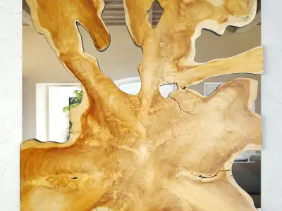 Organic Teak Root Mirror 3D model