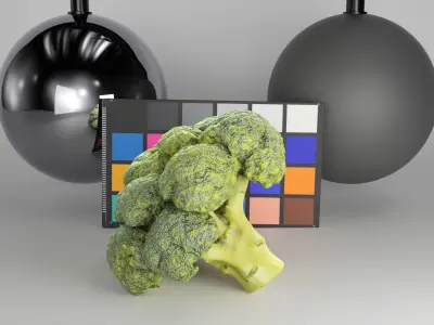 Cob of broccoli 27 Low-poly 3D model