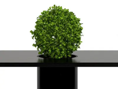 Room plants 3D model
