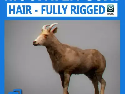 Rigged Mountain Goat 3D model