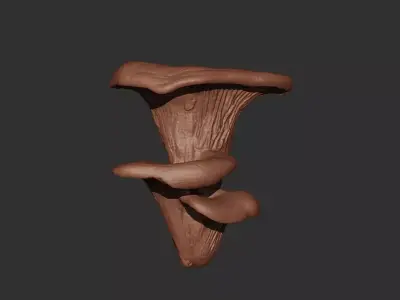 Mushroom Wall Art 3D print model