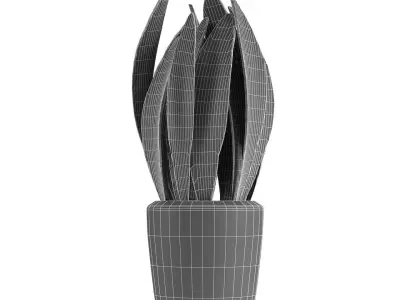 Plant in Pot Flowerpot Exotic Plant 3D model