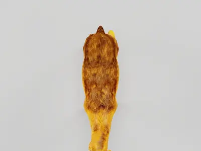 Fanged Mouse-Deer Chevrotain Animal Low-poly 3D model