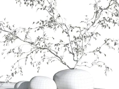 Plant Decor 3D model