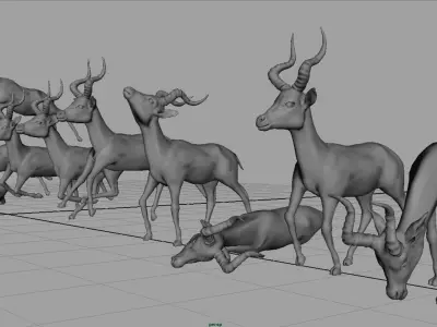 IMPALA POSES Low-poly 3D model