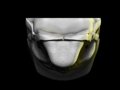 Biker helmet skull vol2 wall home decor 3D print model