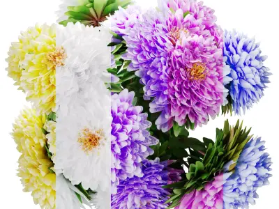 Bouquet of aster flowers 3D model