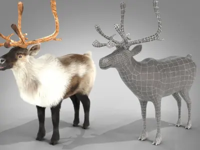 Fur Reindeer NO RIG Low-poly 3D model