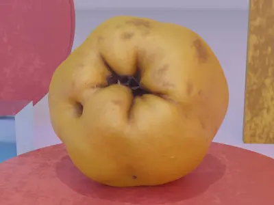 Quince fruit 01 high-poly 3D model