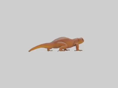 Eastern Newt crawling model Low-poly 3D model