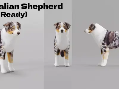Australian Shepherd Dog Low-poly 3D model