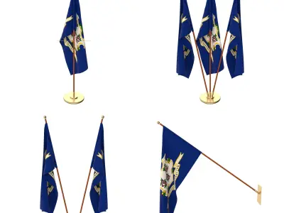 Connecticut Flag Pack 3D model