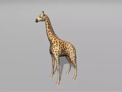 giraffe Low-poly 3D model