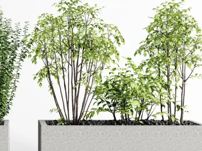 Potting Plant Modern Green 3D model