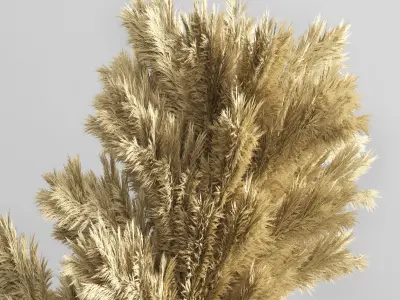 Pampas vase 04 3D model