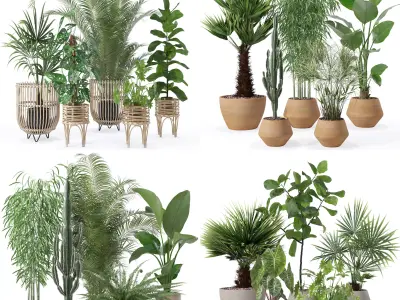 20 Photorealistic Flowers for Interiors - set 126 129 136 137 3D Model Collection