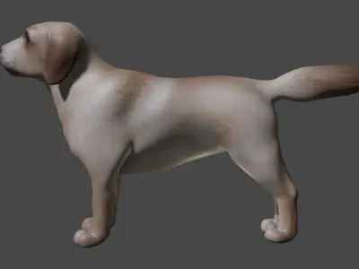 Labrador Dog Breed 3D Model for Games and VR Low-poly 3D model