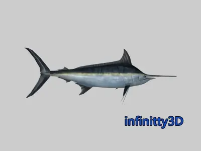 Coral Fish Pack 2 Low-poly 3D model