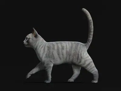 Grey Tabby Domestic Cat Low-poly 3D model