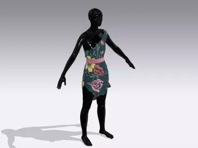 Woman Cloth Dress Low-poly 3D model