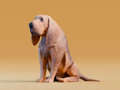 Low poly - Stylized dog - Bloodhound  Low-poly 3D model