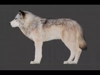 Classic Wolf Low-poly 3D model