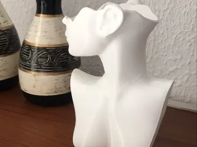 Female Figure Vase 3D print model