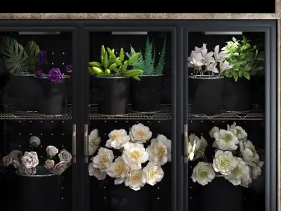 Refrigerated display for flowers-florist-flower shop decor set 3D model