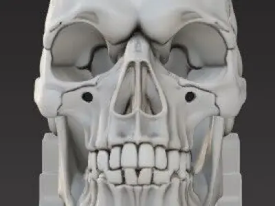 Skull Bookend  Detailed Design for 3D Printing 3D print model