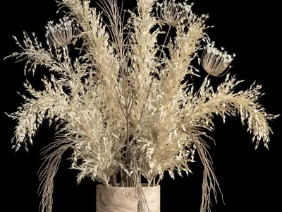 Dried flowers 01 3D model