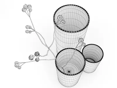 Flower in Vases 3D model