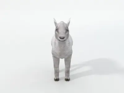 Little Sheep Low-poly 3D model