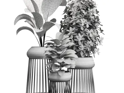 Indoor plant 17 Low-poly 3D model