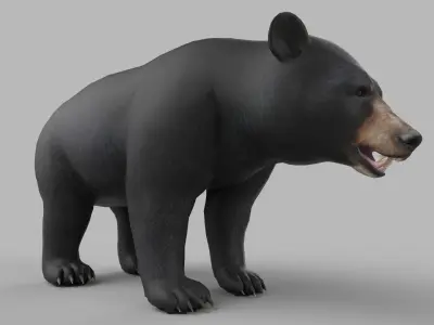 wild bear Low-poly 3D model