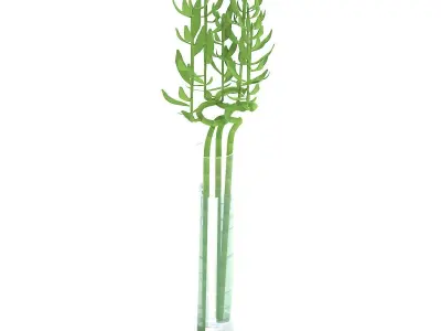 Bamboo in water 3d model Low-poly 3D model