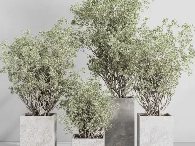 concrete box plants on stand - set outdoor plant 207 3D model