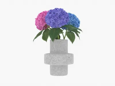 Hydrangea Flower Set 3D model