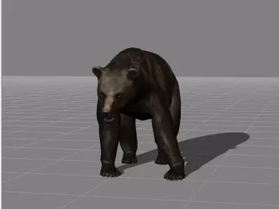 Bear v1 Low-poly 3D model