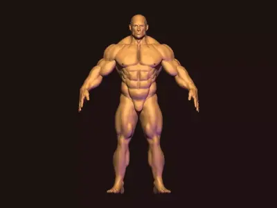 bodybuilder base mesh  Low-poly 3D model