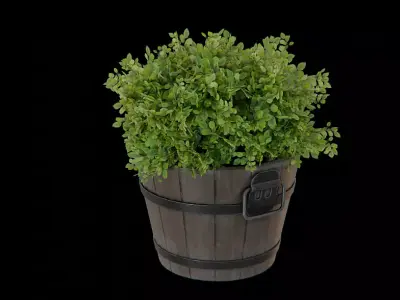 Wooden Bucket with Plant Low-poly 3D model
