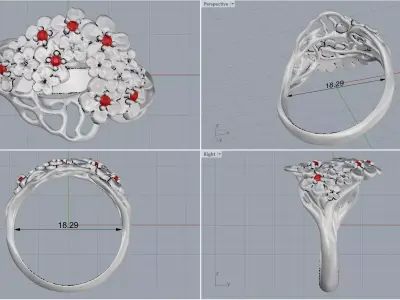ring woman  3D print model 164