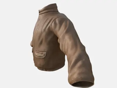 Leather Jacket Male Low-poly 3D model