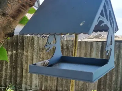 Bird feeders 3D print model