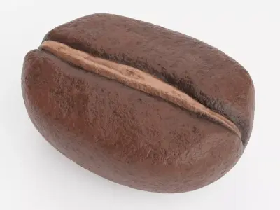 -Coffee Bean- 3D model